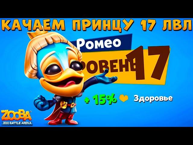 КАЧАЕМ ПРИНЦА РОМЕО НА 17 УРОВЕНЬ В ИГРЕ ZOOBA