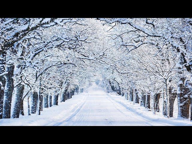 Beautiful melody to tears! One of the most beautiful, magical winter melodies