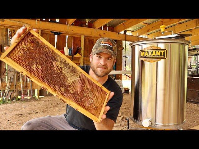 Harvesting 72 Pounds of Pure Honey