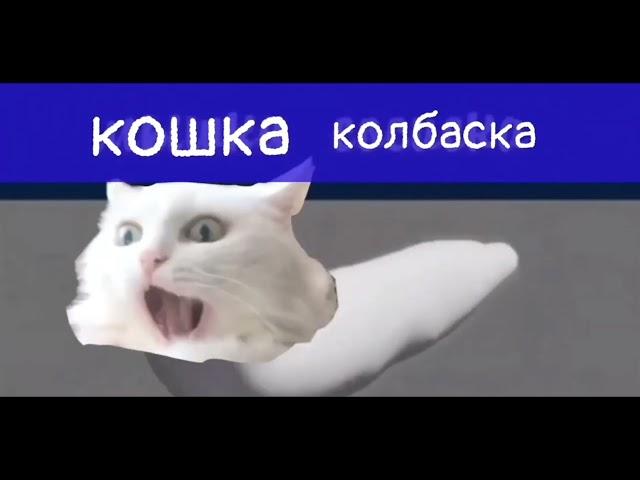 кошка колбаска