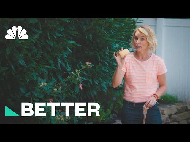 Save Yourself From Outdoor Pests With Three Clever Hacks | Better | NBC News