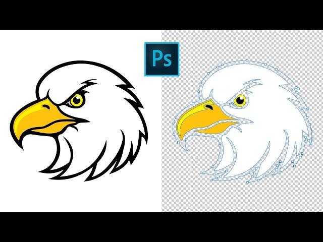 Quick Image Tracing in Photoshop and Convert It to Vector Graphics [SVG or EPS]