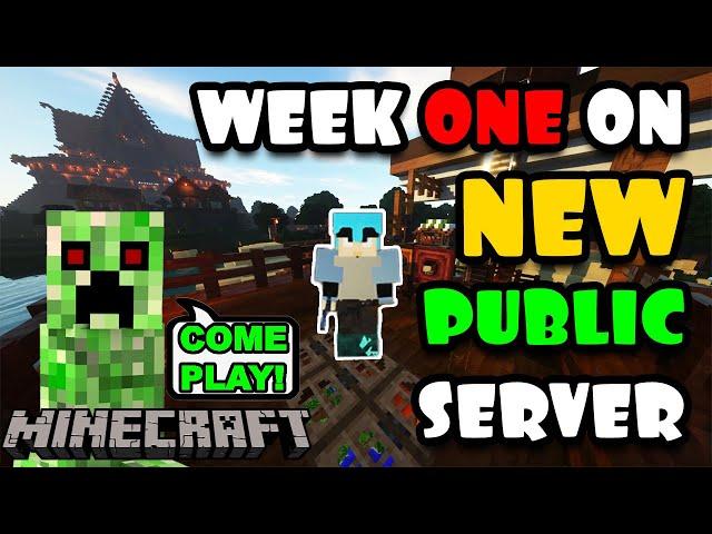 First Week on NEW Minecraft SMP Server