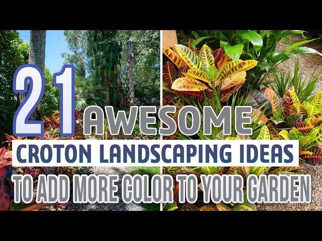 21 Awesome Croton Landscaping Ideas To Add More Color To Your Garden