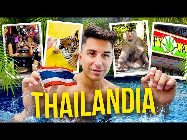 E' COME STARE SU GTA! Viaggio in THAILANDIA fra Tigri, Scimmie e il Lato Selvaggio di Patong Beach!