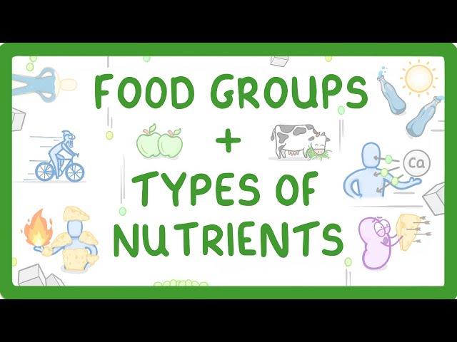 GCSE Biology - What are Nutrients? Carbohydrates, Lipids, Proteins, Vitamins & Minerals #15