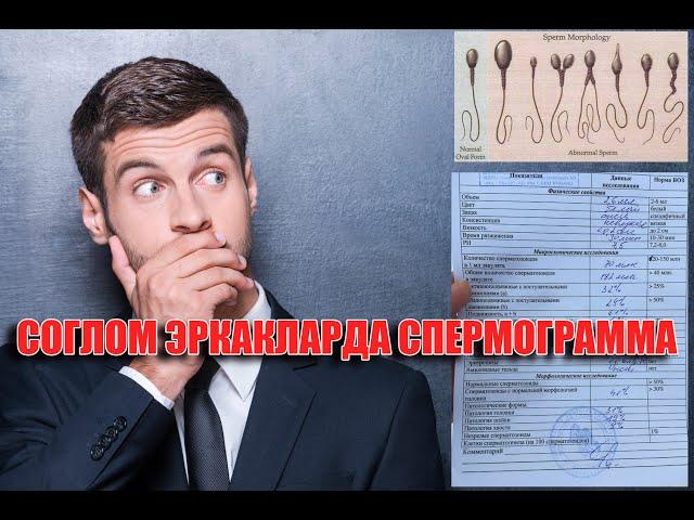 #DoctorSpb Соглом Эркакларда Спермограмма