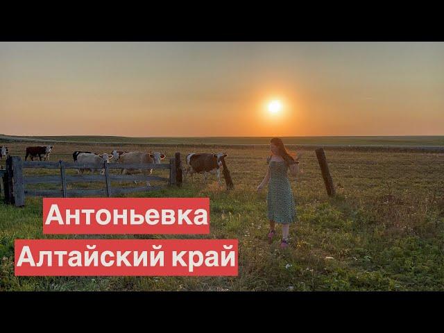 Село Антоньевка | Алтайский край | Деревенская жизнь