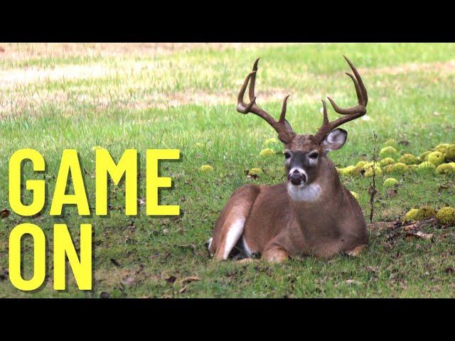 Urban Hunting (Self Filmed) MASSIVE BUCK