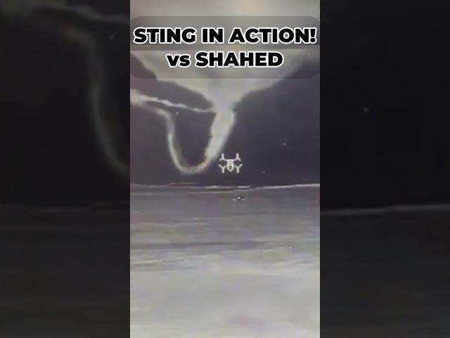 EXCLUSIVE: First-Ever Footage of Sting Drone Hunting Down a Russian Shahed!