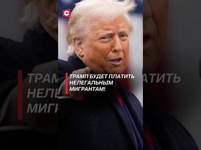 Трамп готов откупаться от нелегальных мигрантов! #трамп #сша #политика #новости #нелегалы #мигранты