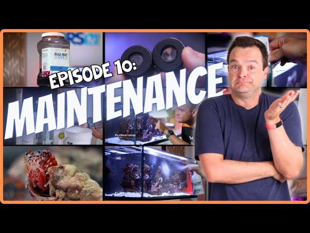 Keep It CLEAN! A Beginner’s Guide to Saltwater Aquarium Maintenance. EP: 10