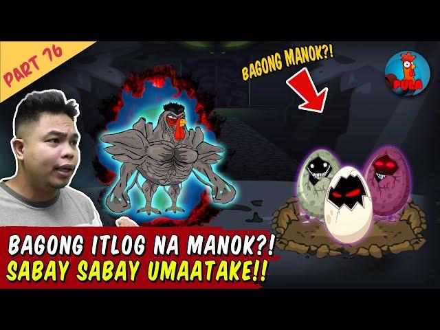 Bagong Manok Itlog Na Malakas! - Manok na Pula