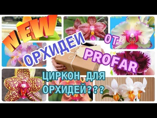 НОВЫЕ ОРХИДЕИ от Profar  ПЕРВАЯ ОСЕННЯЯ ПОСЫЛКА! Осенняя адаптация орхидеи. Про Циркон для орхидеи.