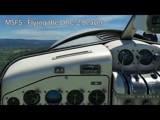 MSFS - Flying the DHC-2 Beaver