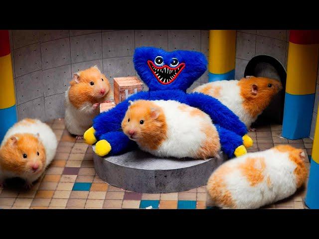 The Best Hamster Challenges - Hamsterious Escape The Awesome Maze