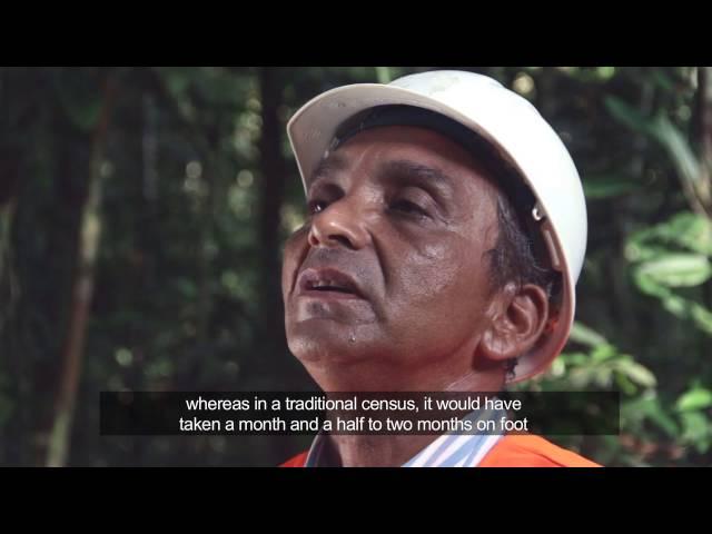 Imaza: a responsible and efficient manner of Amazon timber use