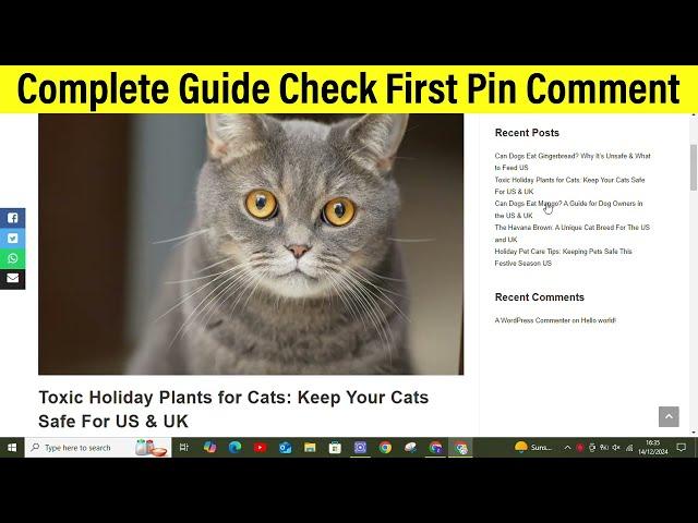 You're Putting Your Cat's Life at Risk with These Plants! Toxic Holiday Plants for Cats US & UK #cat