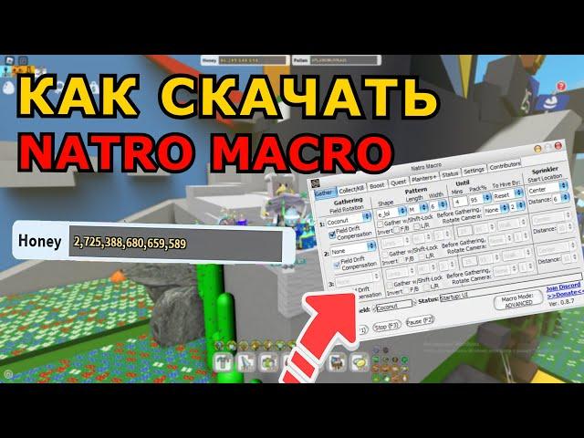 КАК СКАЧАТЬ И НАСТРОТЬ NATRO MACRO В BEE SWARM SIMULATOR