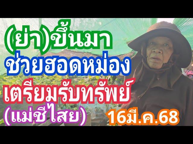 (ย่า) ขึ้นมาช่วยฮอดหม่อง เตรียมรัยทรัพย์ (แม่ชีไสย) งวด16มี.ค.68