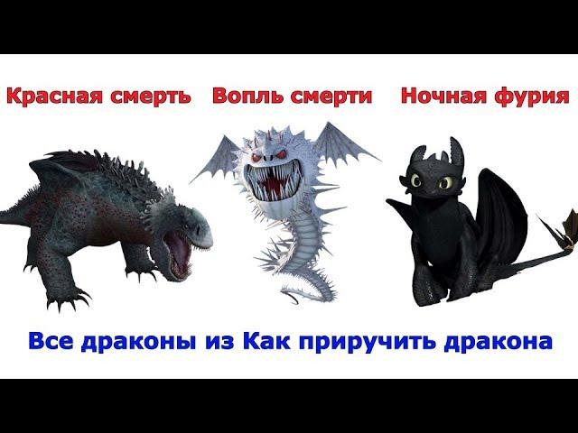 Сравнение всех драконов из мультфильмов Как приручить дракона