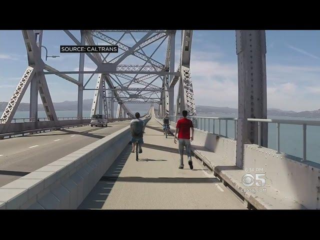 Hummingbird Nest Halts Upgrades On Richmond-San Rafael Bridge