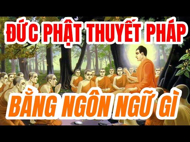 Đức Phật thuyết pháp bằng ngôn ngữ gì?