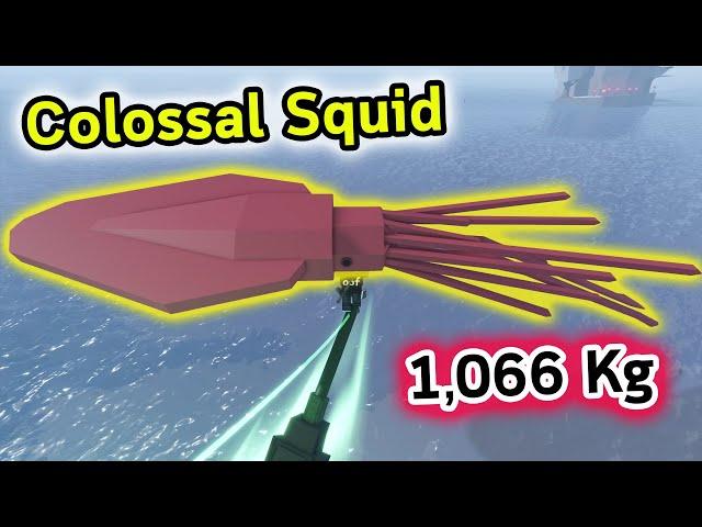 ตกได้หมึกยักษ์ 1,000 กิโล Colossal Squid Roblox Fisch