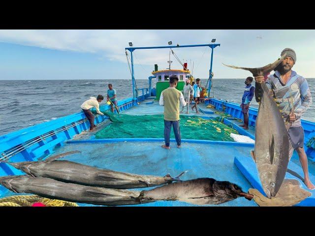 Wow !!! Fourth Day We Stayed in the Deep Sea Fishing Caught lot of Fish's | #tuna fish #marlin fish