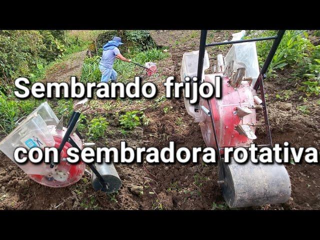 Siembra de frijol con la sembradora abonadora rotativa