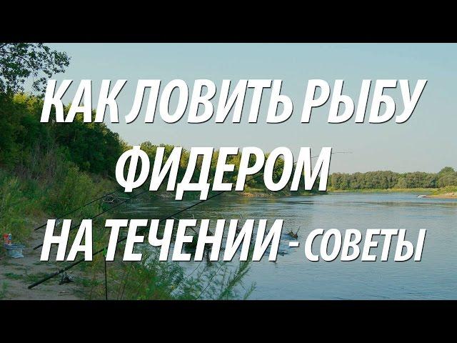 ФИДЕРНАЯ РЫБАЛКА НА ТЕЧЕНИИ - КАК ЛОВИТЬ НА ФИДЕР РЫБУ