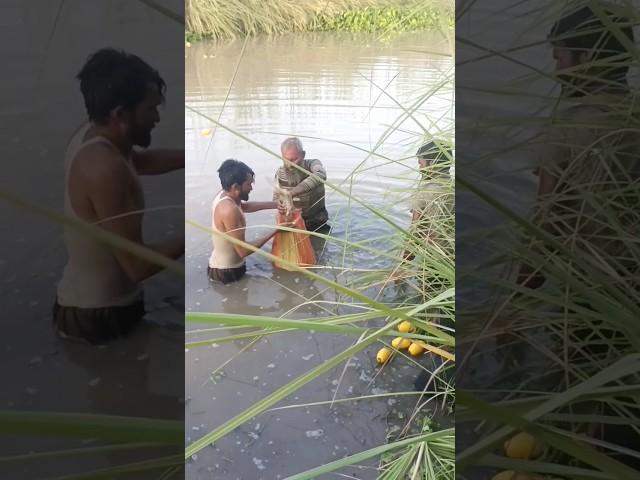 Fishing in Village #funny #fishing #bestvideo