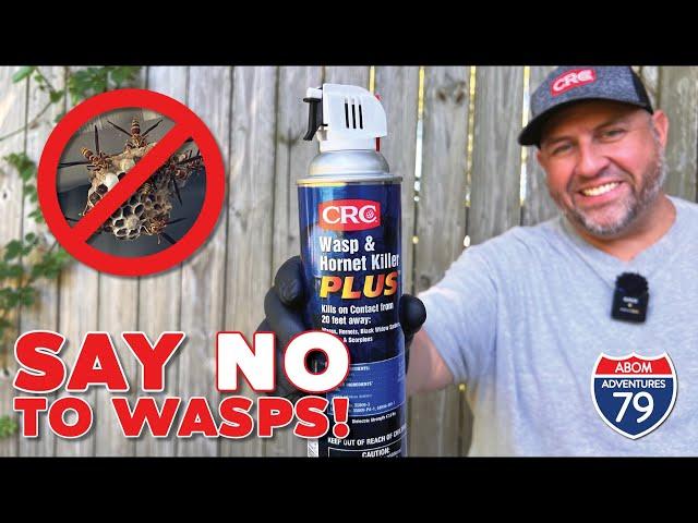 Eliminate Pesky Stinging Insects! CRC Wasp & Hornet Killer