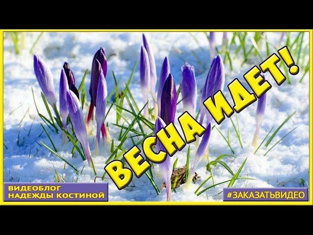 Весна идёт! Красивое поздравление с весной | Музыкальная видео открытка с весной