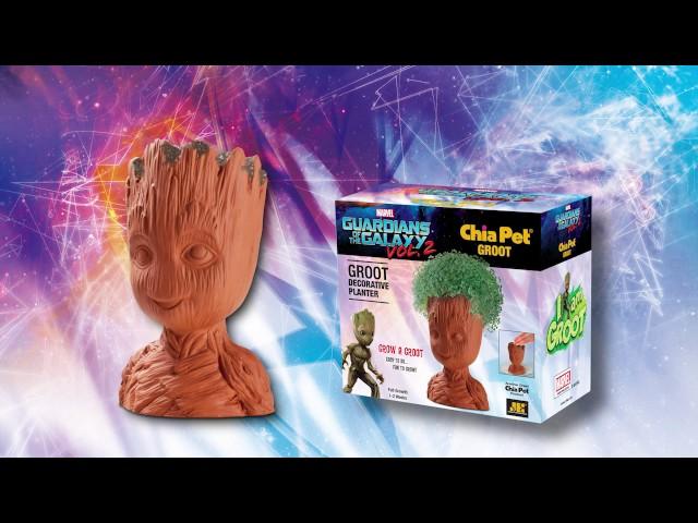 Chia Pet Groot