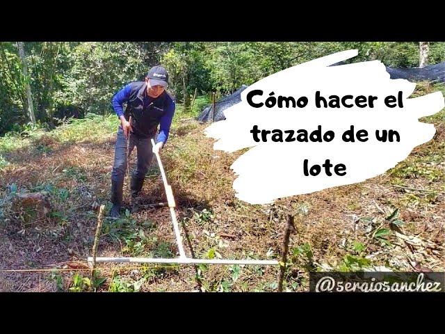 Cómo hacer el trazado de un lote de café