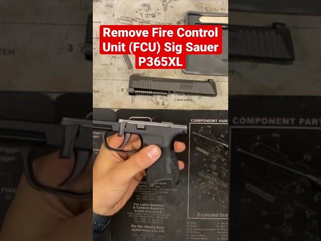Removing The Fire Control Unit (FCU) Sig Sauer P365XL