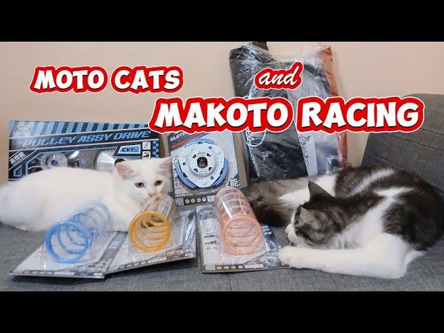 Cute Moto Cats and my Makoto Racing Parts - Makoto Philippines