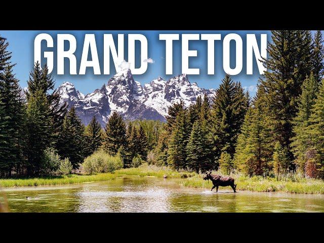 Grand Teton BEST Hikes, Wildlife, Delta Lake, & Sights | National Park Guide