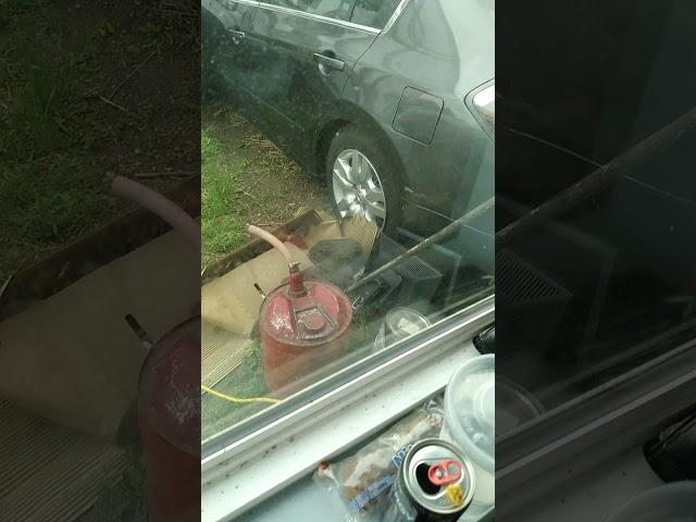 Groundhog's baby surfaces from under the car.  Детёныш сурка вылез из под авто.