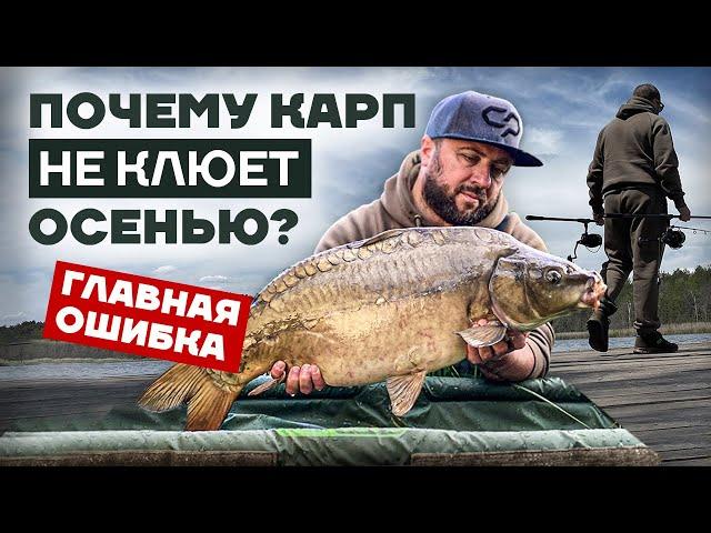 Все СЕКРЕТЫ и ОШИБКИ ловли КАРПА осенью! Основы КАРПФИШИНГА: погода, тактика, прикормка, монтажи...