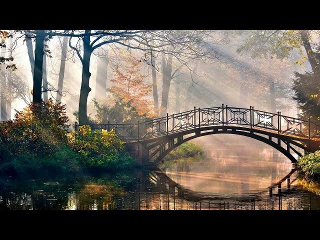 Melodic Progressive House mix Vol 113 (Morning LIght)