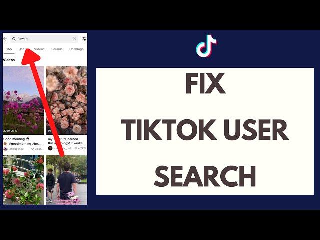 I Can't Search On TikTok | Fix TikTok User Search Error