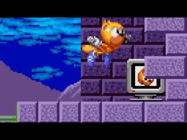 Ray in Sonic 1 | Sonic Hacks ⭐️ Gameplay