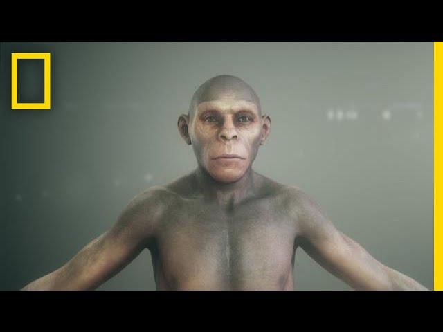 Human Origins 101 | National Geographic