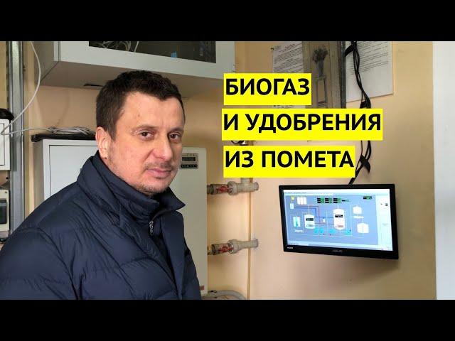 Биогаз и удобрения из птичьего помета. Стартап в Киевской области работает по уникальной технологии