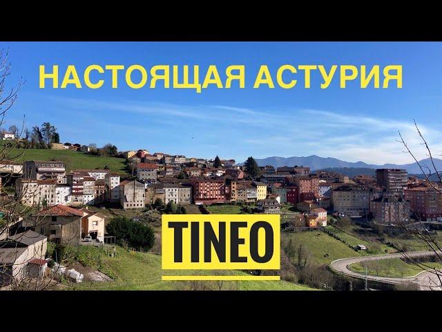 # 439 Настоящая Астурия. Tineo. Сельскохозяйственный Район Севера Испании. Asturias