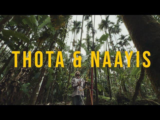 Thota & Naayis | Anirudh Bhat Films