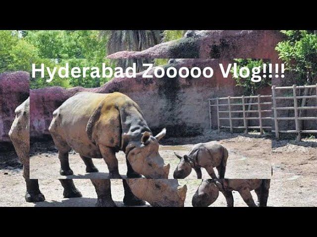 Nehru Zoological Park | Hyderabad Zoo Vlog | Must visit | Holiday in Hyderabad #vlogs