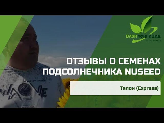 РЕАЛЬНЫЕ ОТЗЫВЫ глав КФХ и агрономов о гибридах подсолнечника Нусид (по корзинке).